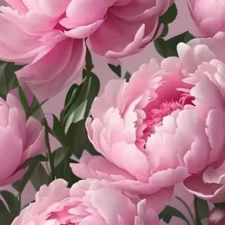 La Peonia * Vitorchiano